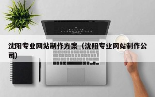徐州沈阳专业网站制作方案（沈阳专业网站制作公司）